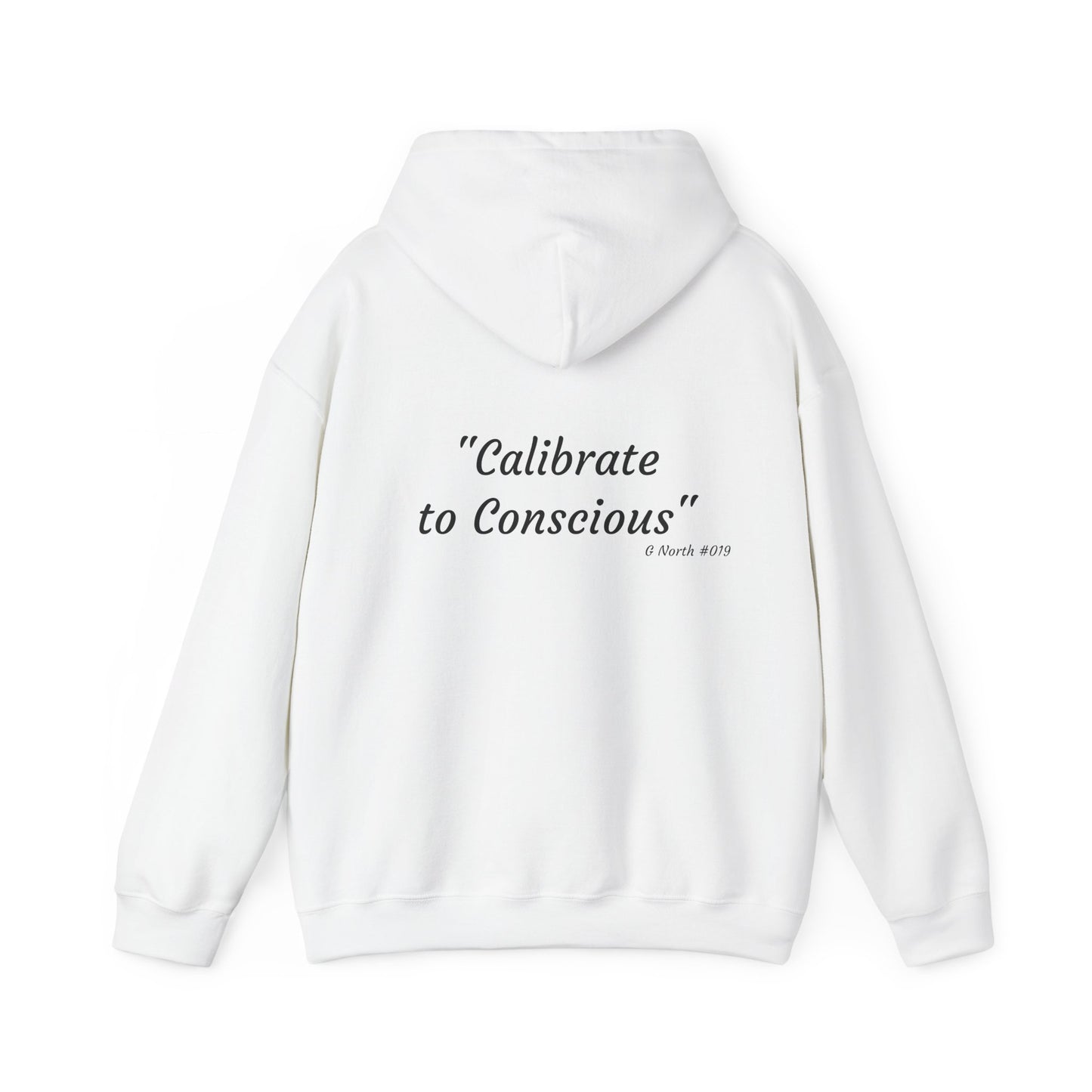 "Calibrate to Conscious"- True North Mindset Hoodie