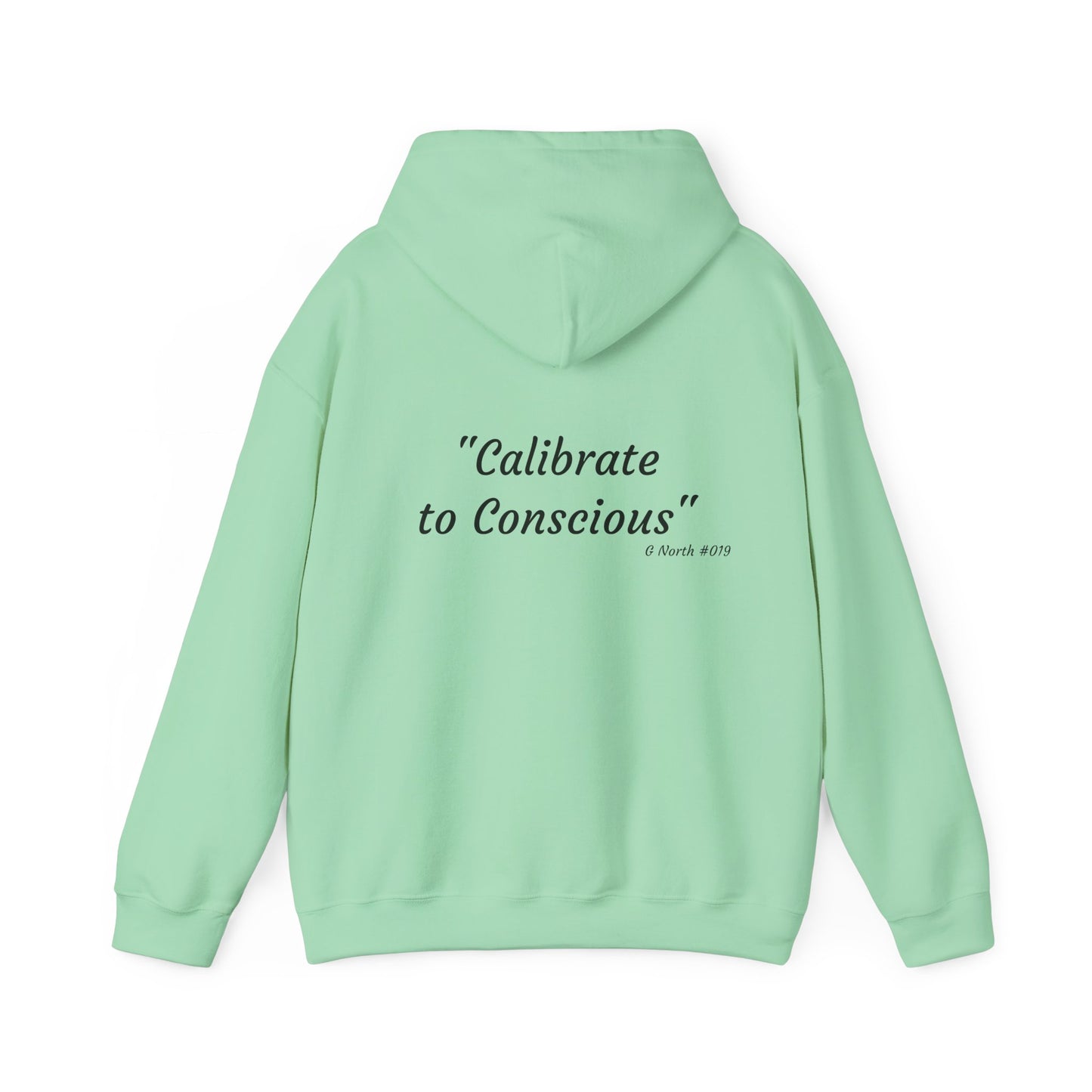 "Calibrate to Conscious"- True North Mindset Hoodie