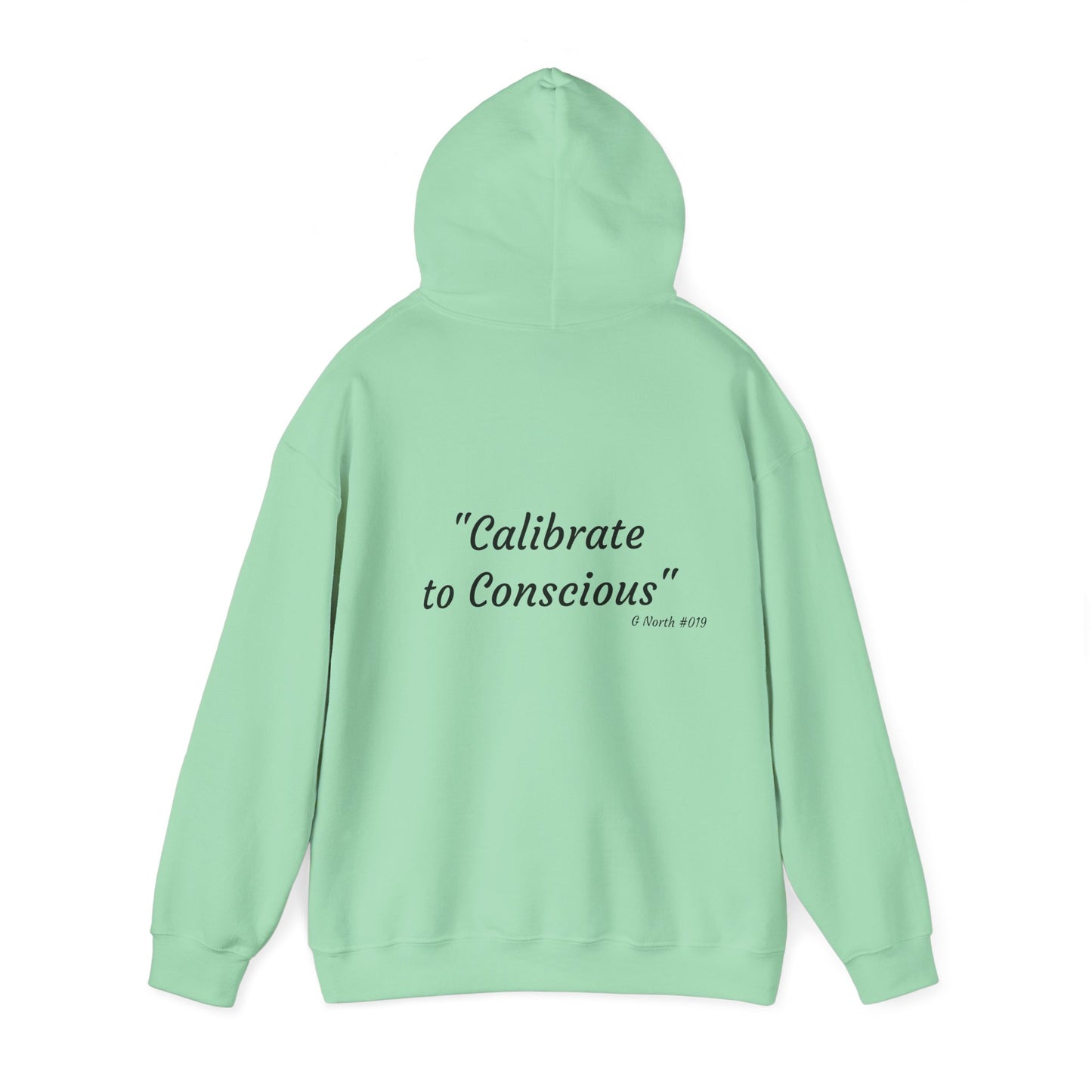 "Calibrate to Conscious"- True North Mindset Hoodie