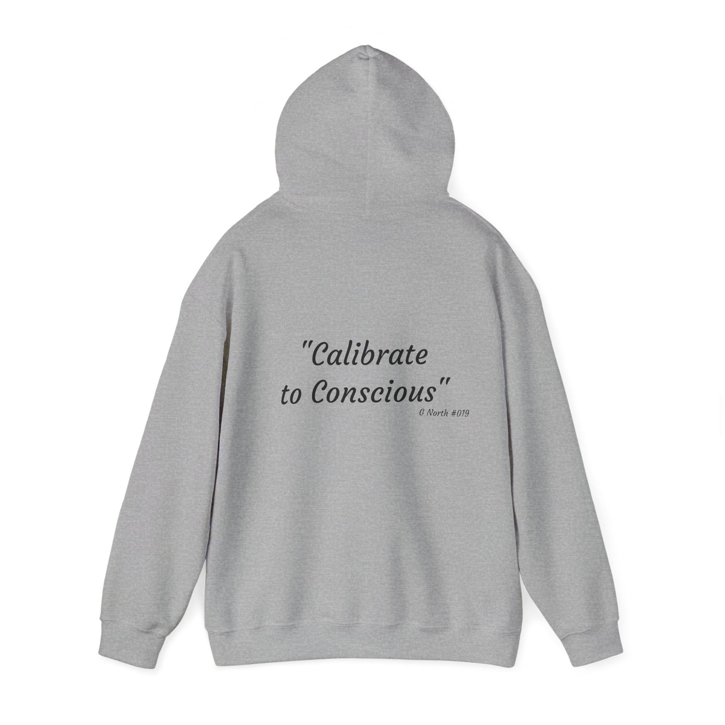 "Calibrate to Conscious"- True North Mindset Hoodie