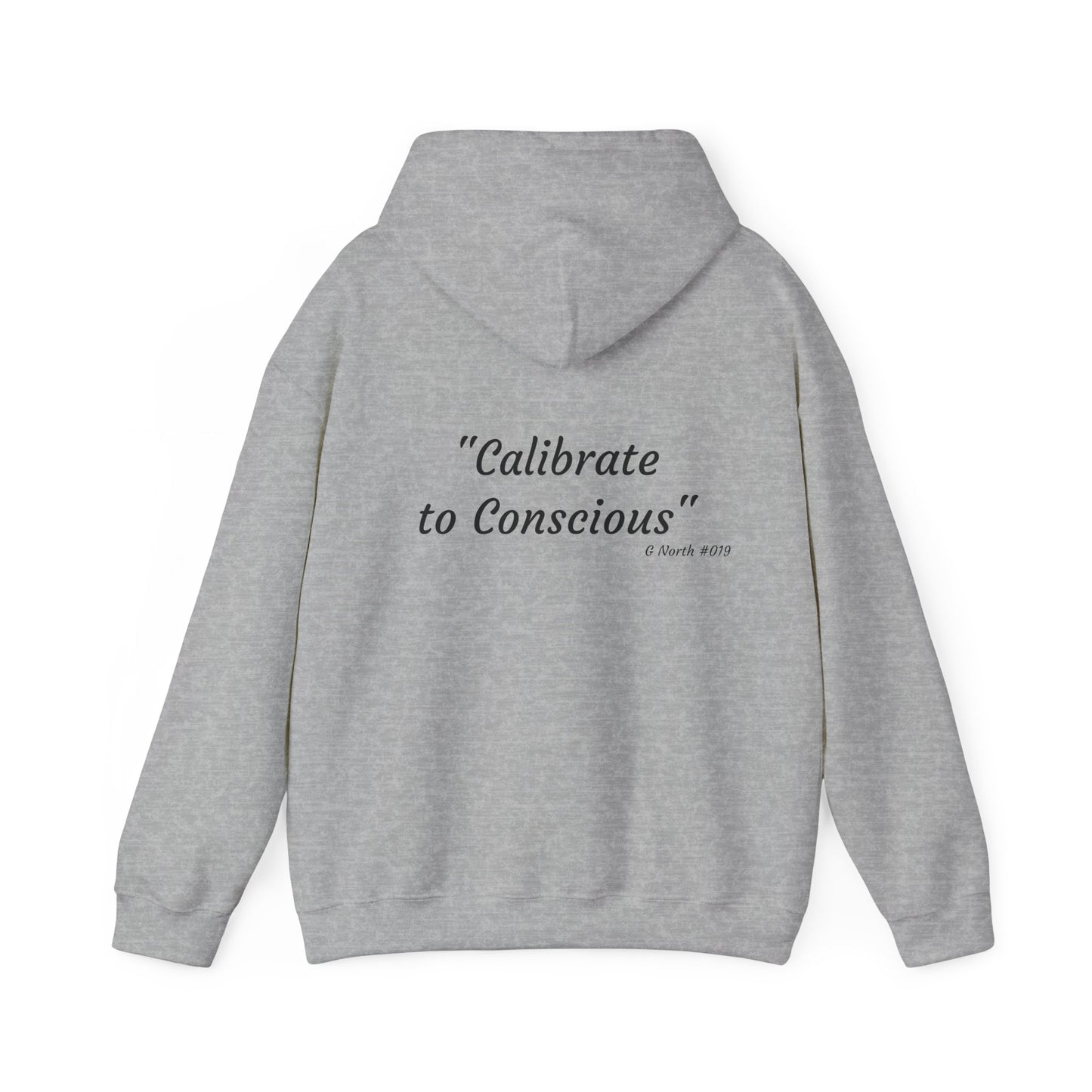 "Calibrate to Conscious"- True North Mindset Hoodie