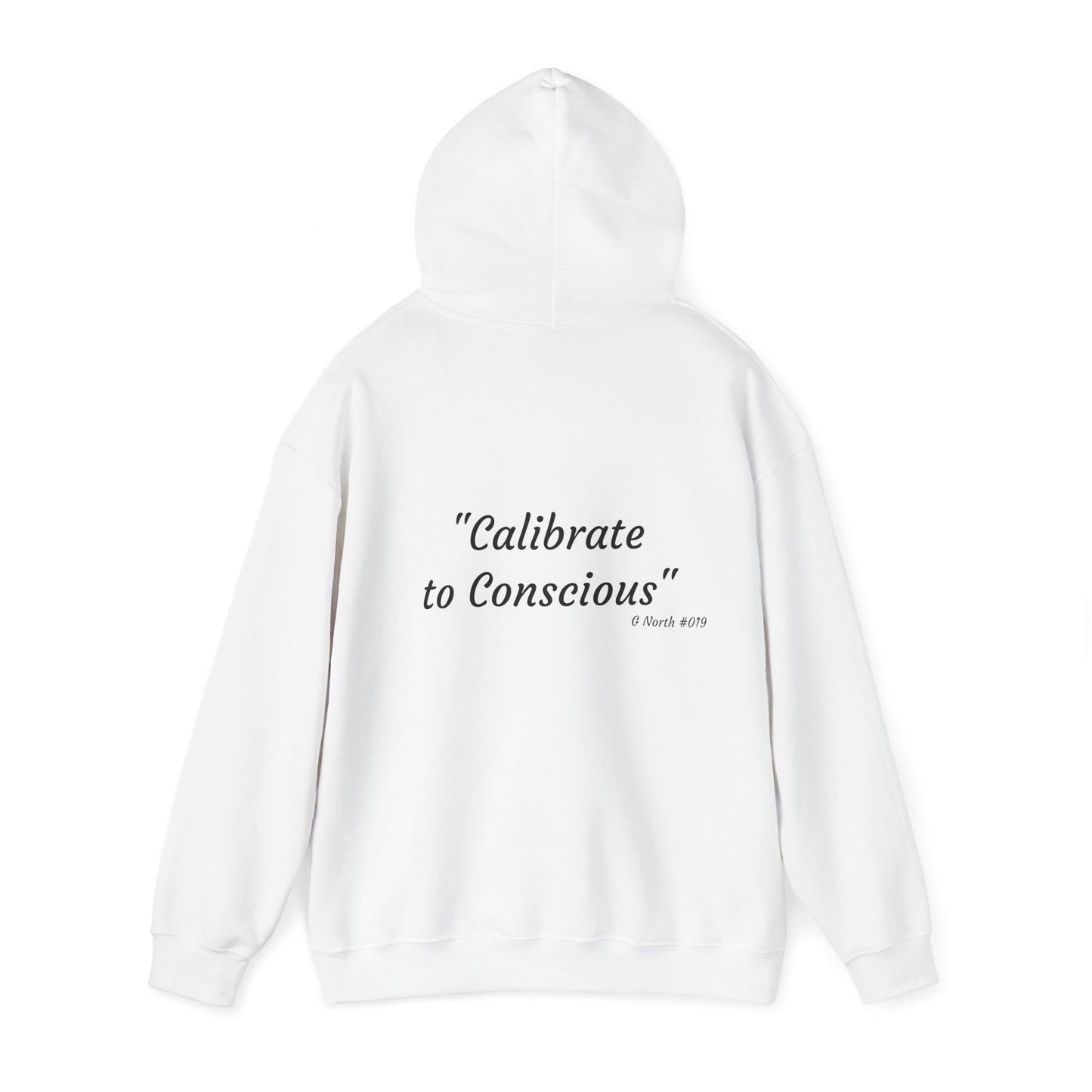 "Calibrate to Conscious"- True North Mindset Hoodie