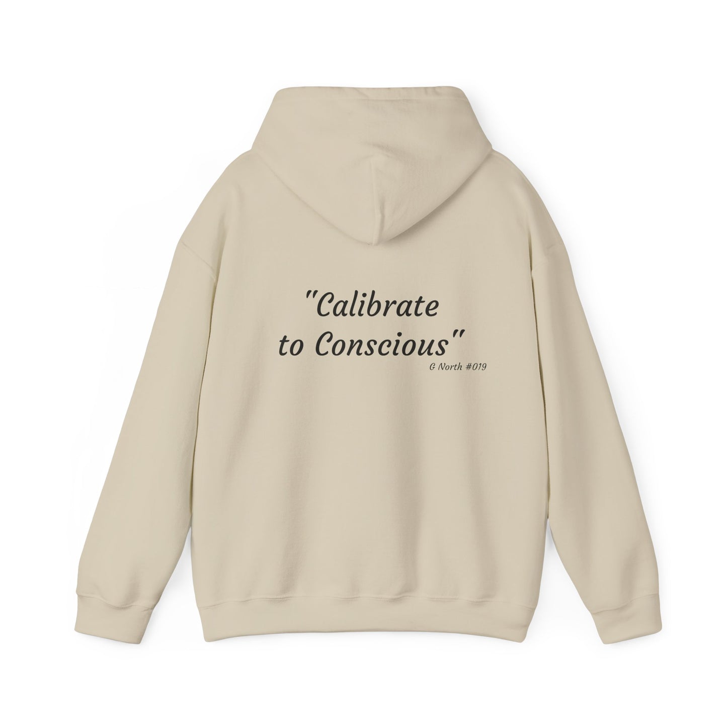 "Calibrate to Conscious"- True North Mindset Hoodie