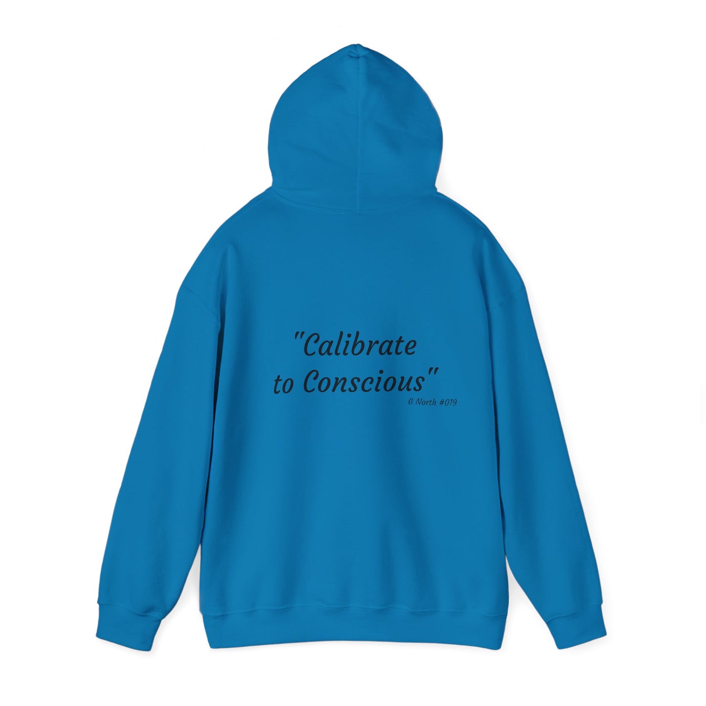"Calibrate to Conscious"- True North Mindset Hoodie